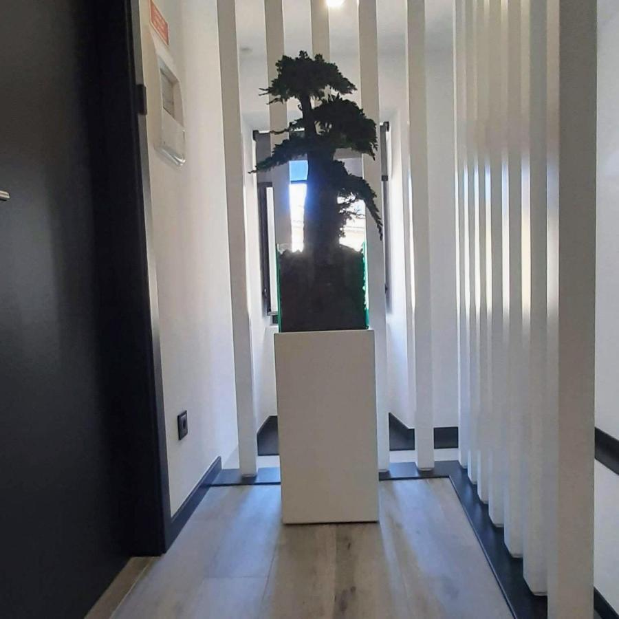 Taska Vila Velha Mirandela Exteriör bild